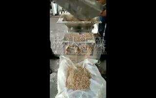 吸附剂造粒机双螺杆挤压造粒机